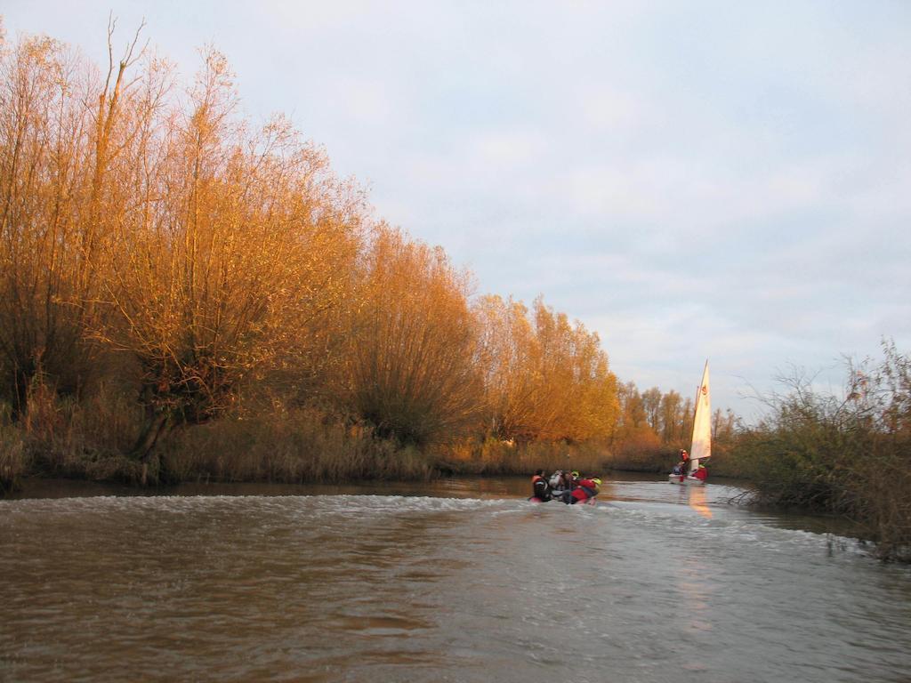 Bed And Breakfast De Biesbosch - In 'T Riet Drimmelen Ngoại thất bức ảnh